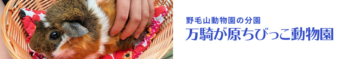 万騎が原ちびっこ動物園