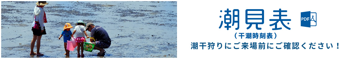 潮見表