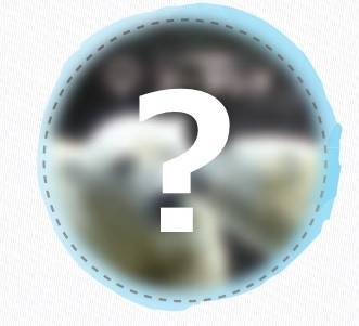 【開催中止】どうぶつしりとりシールラリーの写真