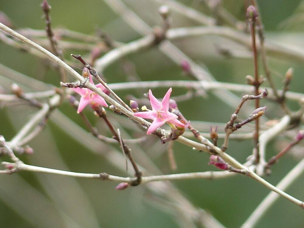 P1550469 - コピー.jpg