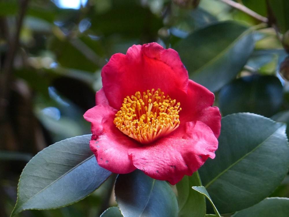 P1480653 - コピー.jpg