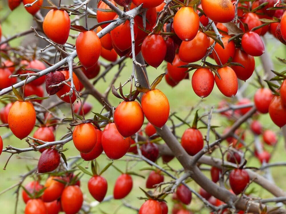 P1550480 - コピー.jpg