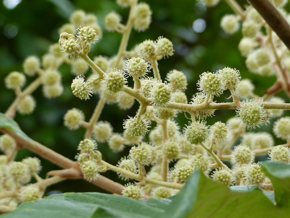 P1550466 - コピー.jpg