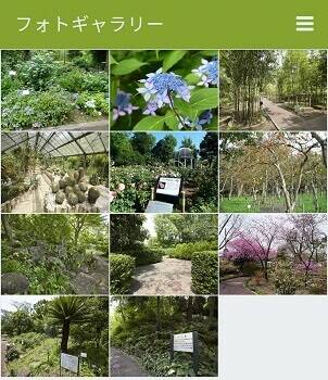 園内案内用アプリのお知らせの写真