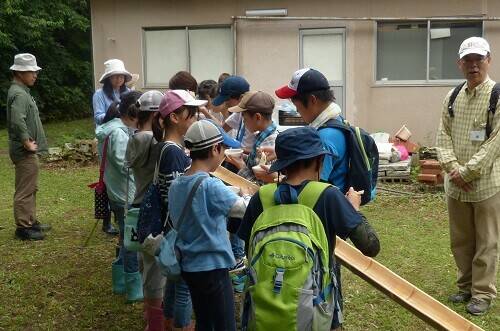2020年度 みどりの学校サポーター募集 の写真