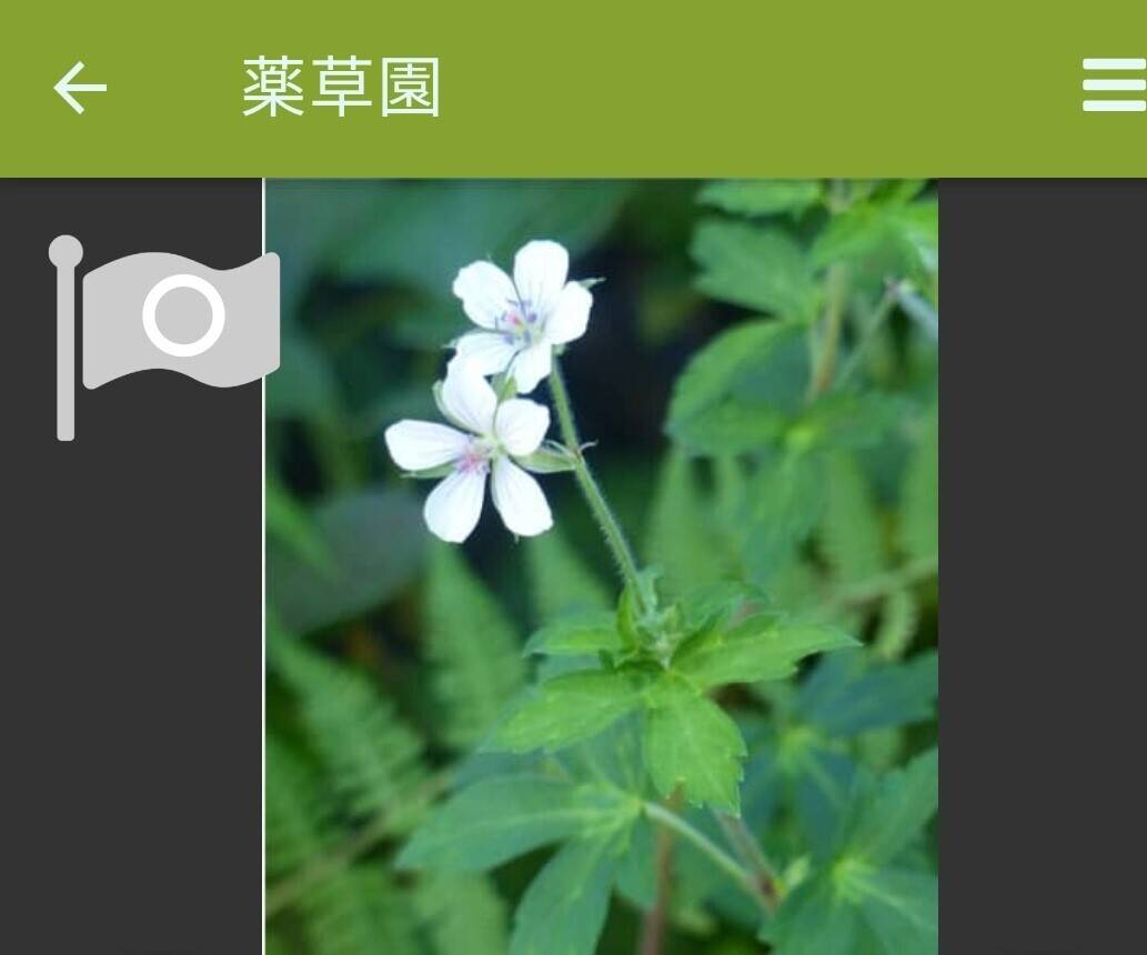 園内案内用アプリのお知らせの写真