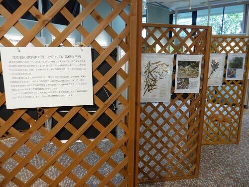 横浜植物会の歴史と横浜の植物 2019の写真