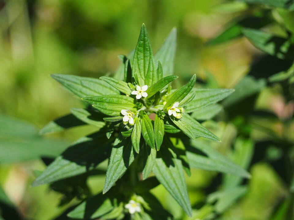 P5030006 - コピー.jpg