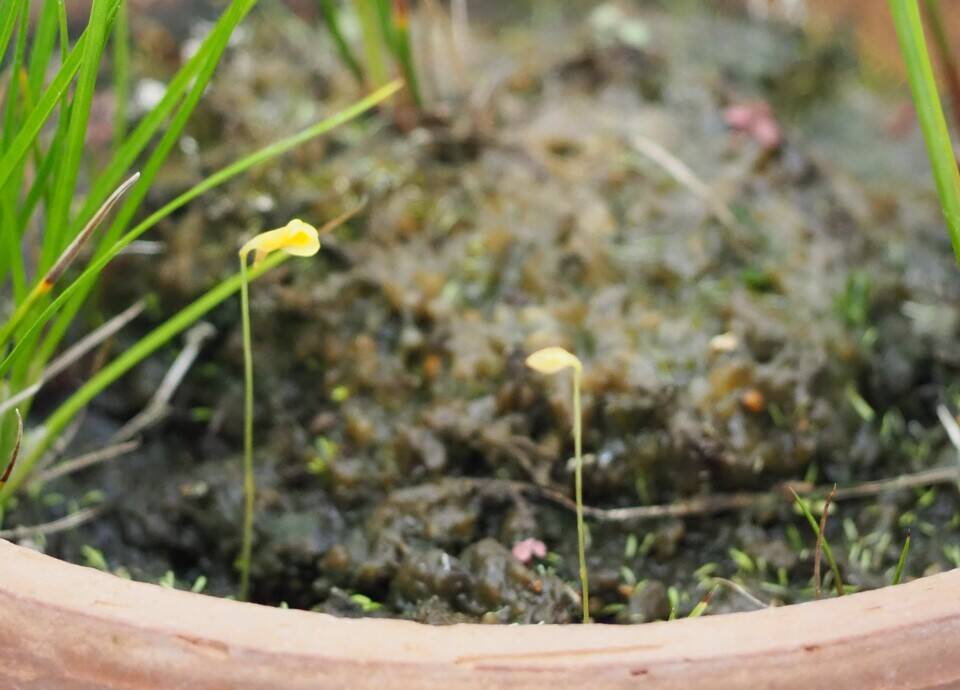 P7210046 - コピー.jpg