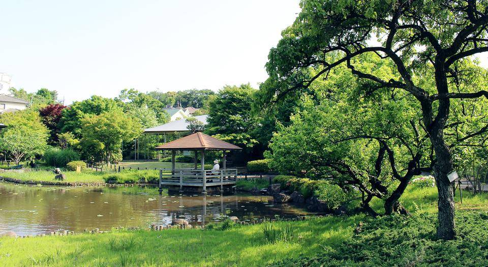 馬場花木園についての画像