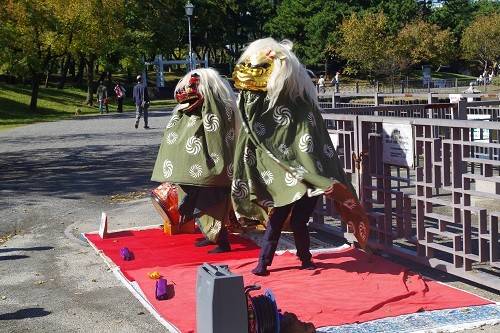 本牧市民公園・秋まつりの写真