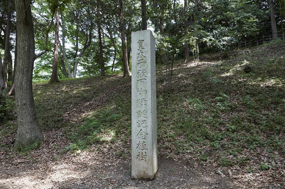 皇太子御降誕記念碑.jpg