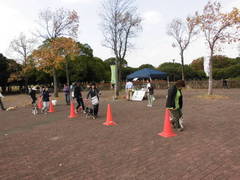 「愛犬マナー教室」