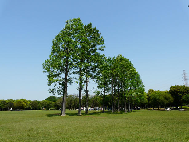 stroll01.jpg