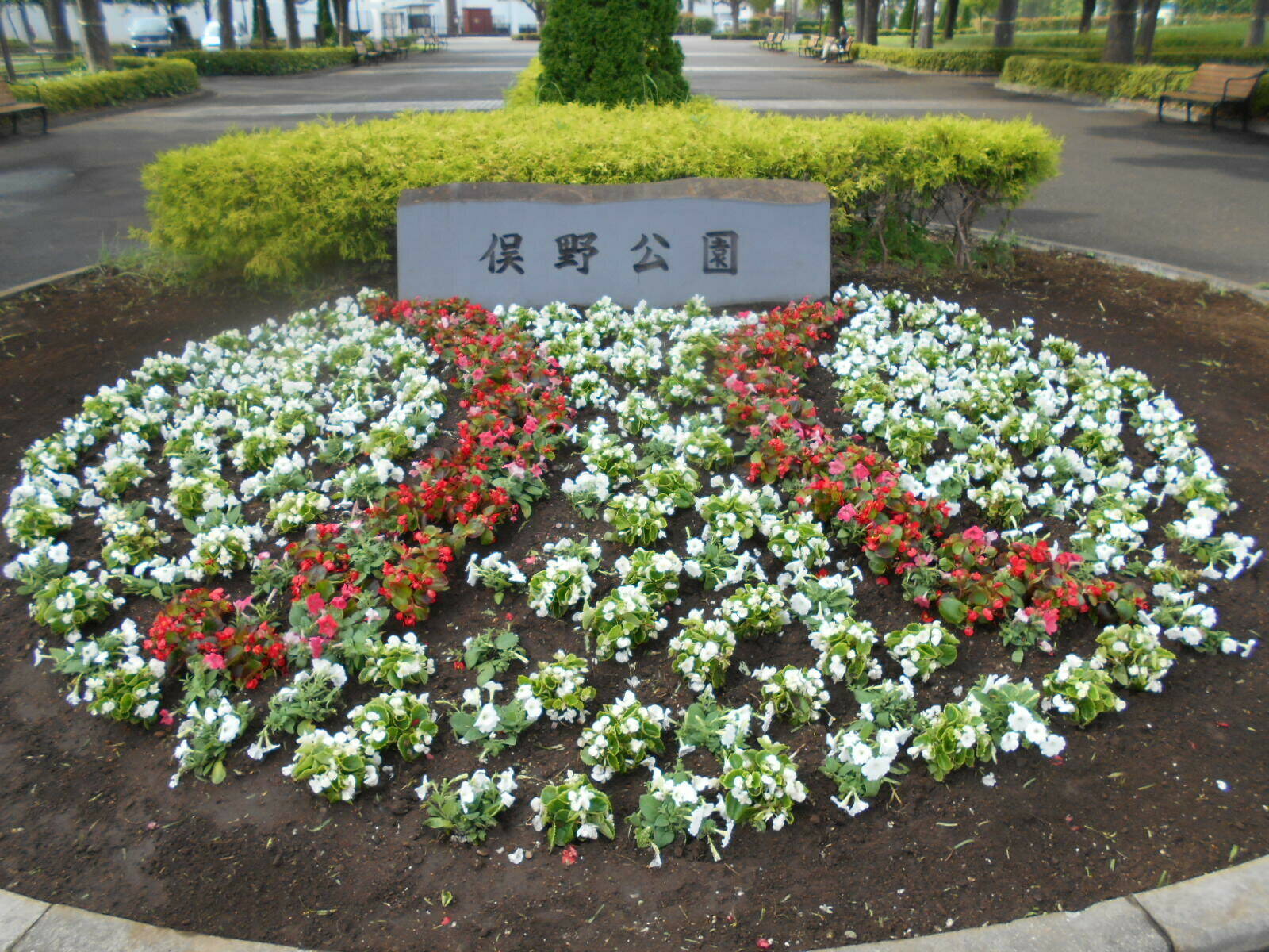 俣野公園・横浜薬大スタジアム 空き状況一覧(8/5~8/11)の写真
