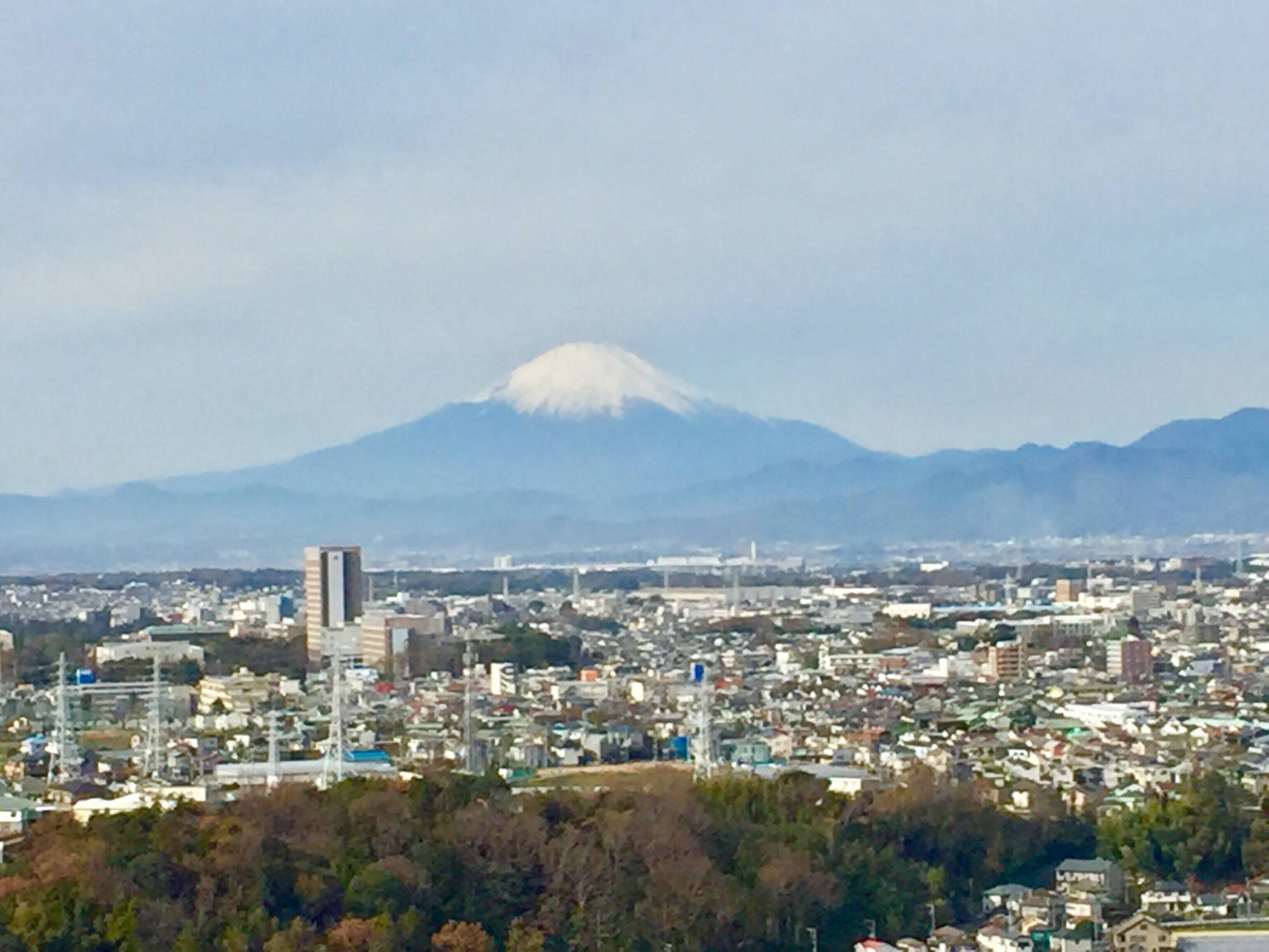 fujisann.jpg