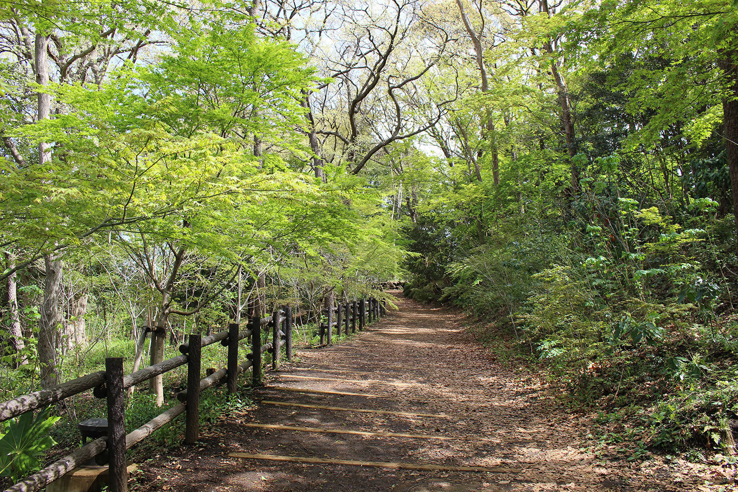 俣野別邸庭園トップ画像2