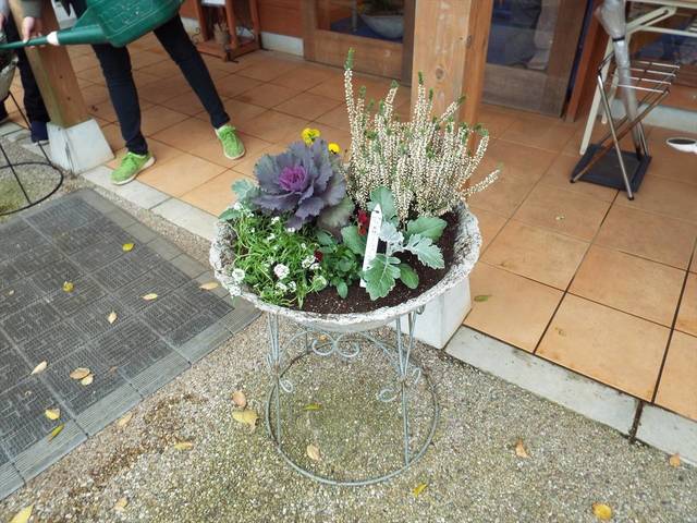 春の寄せ植え教室〈つつじ祭り〉の写真