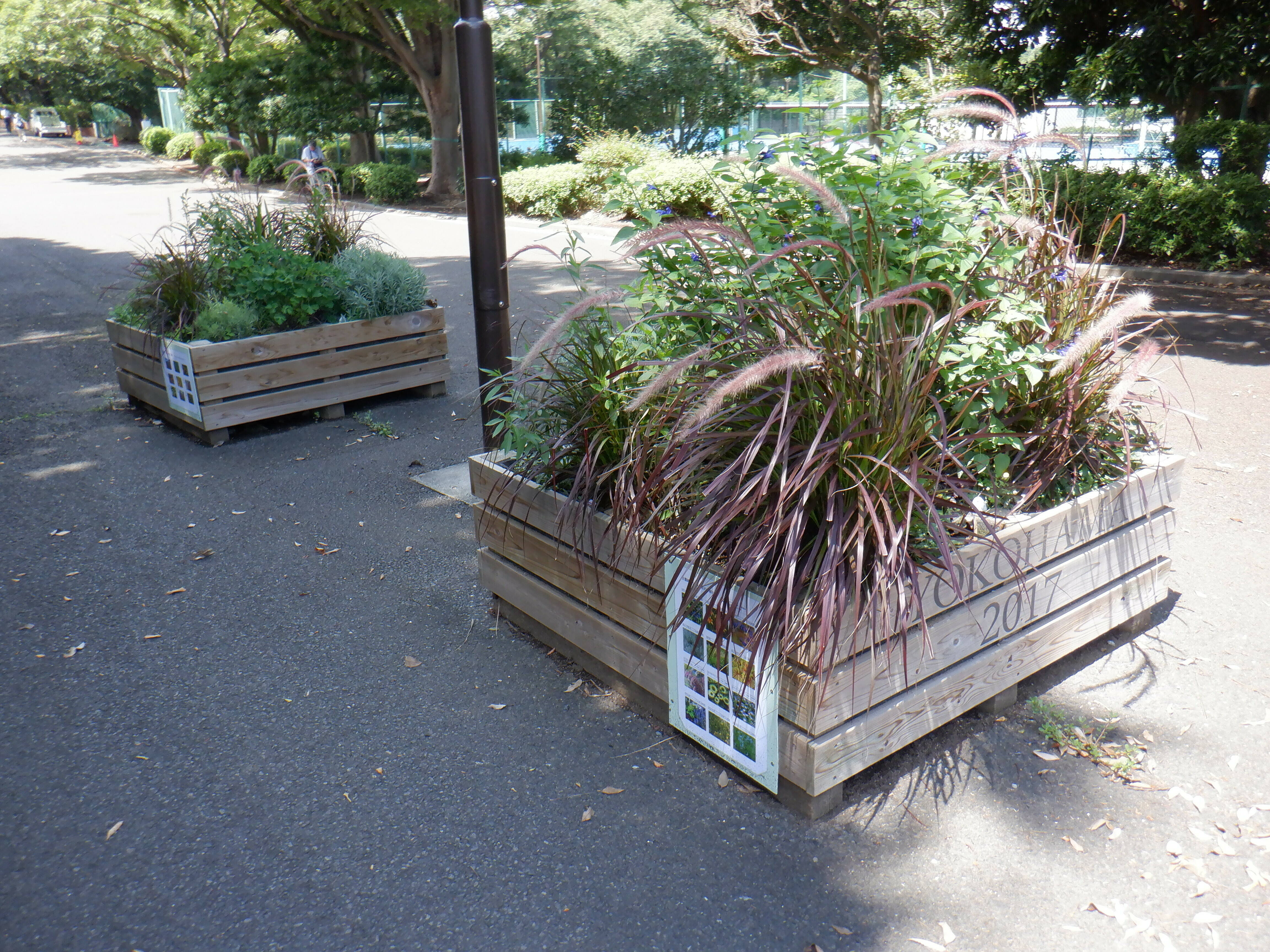 DSCF0436.jpg