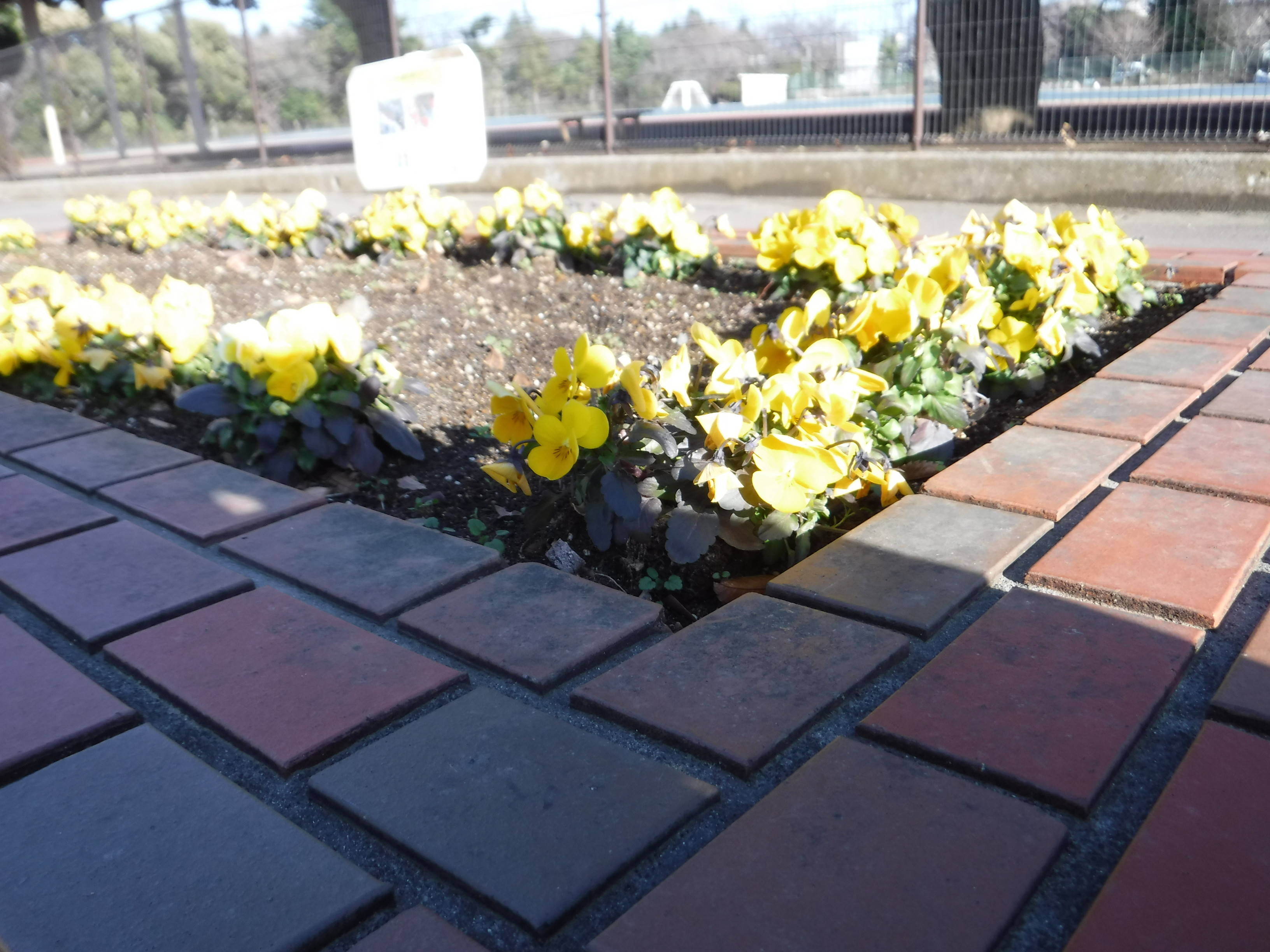 DSCF5013.jpg
