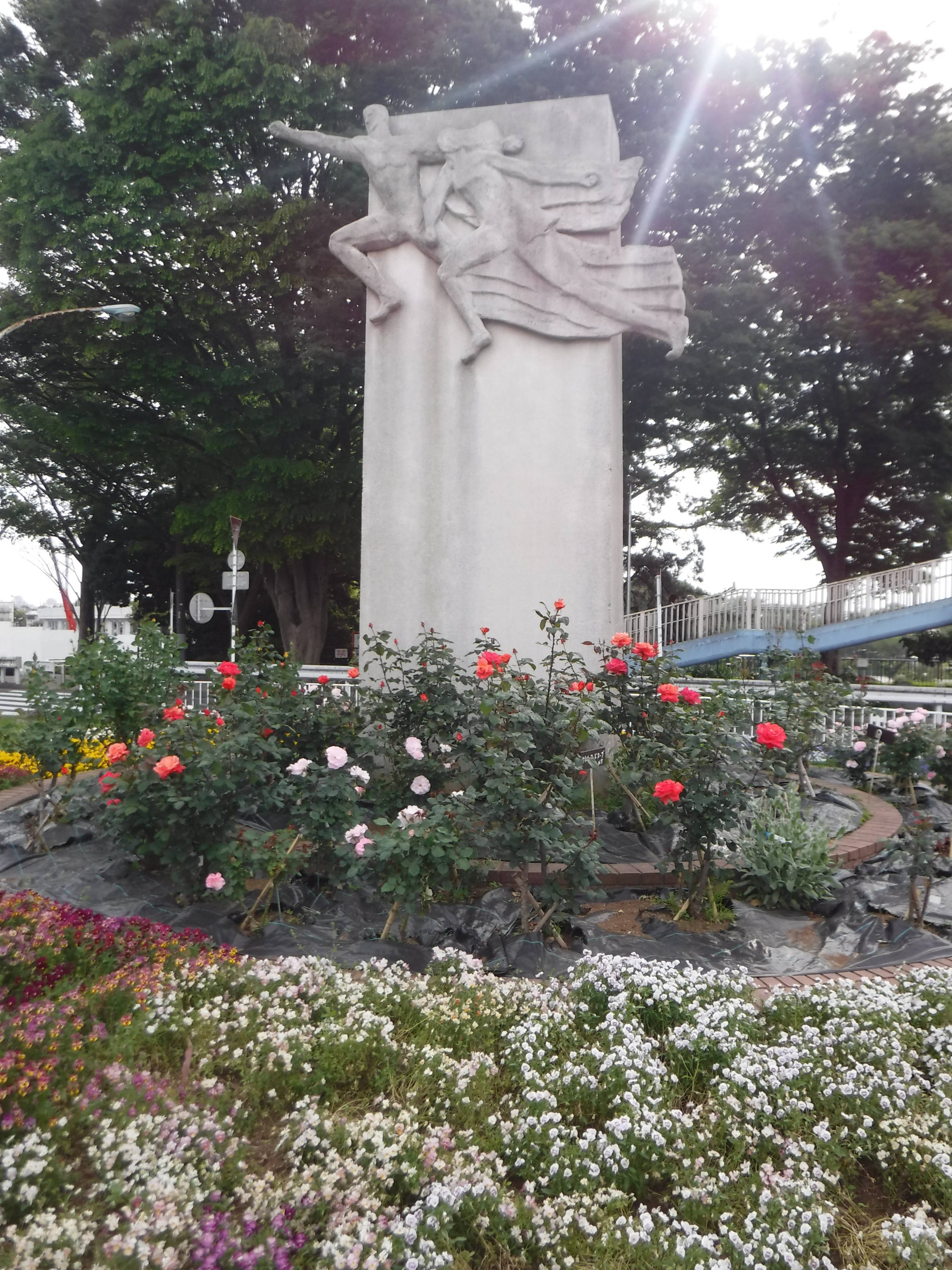 DSCF6531.jpg