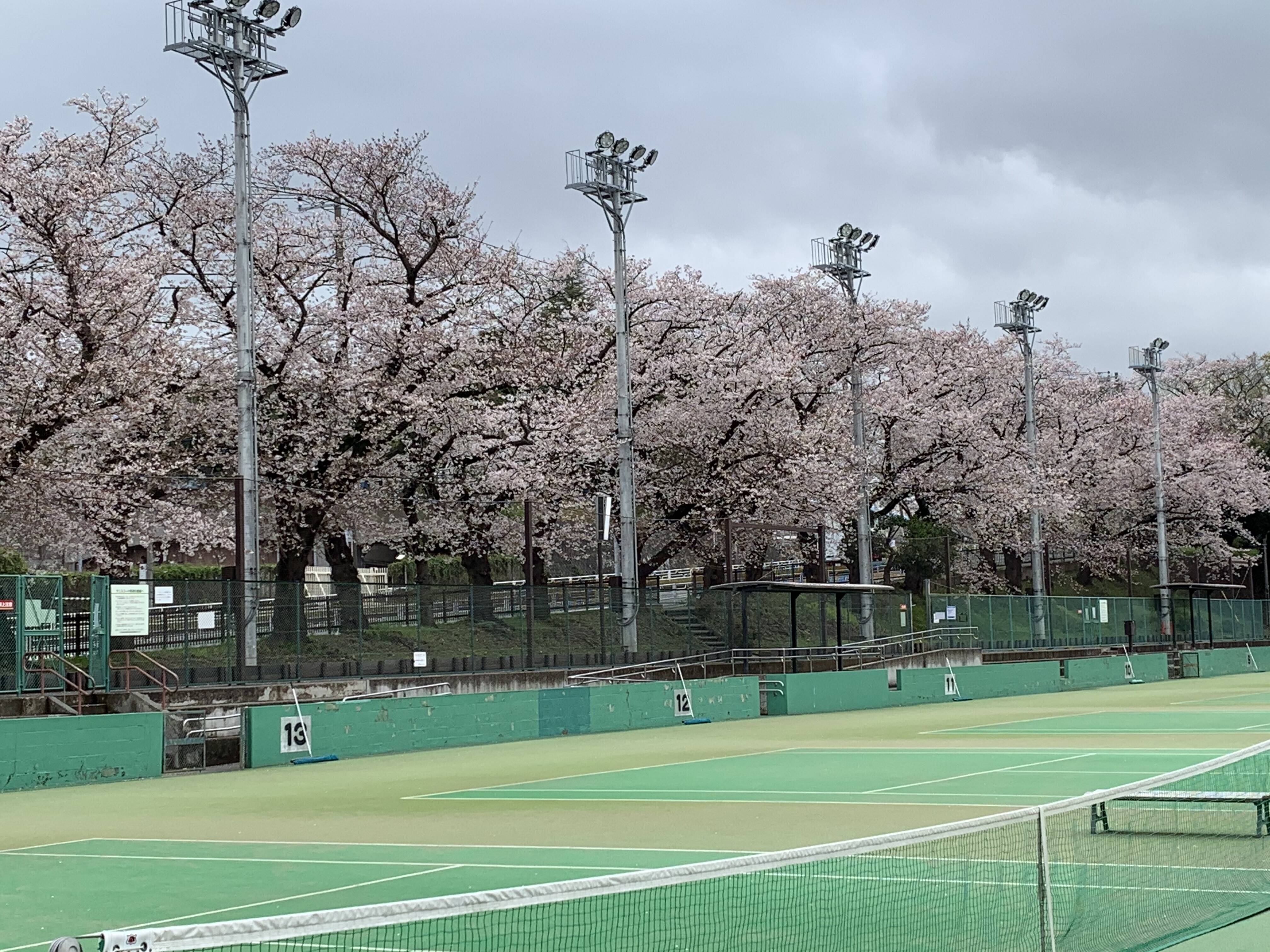 テニス 横浜 コート 市