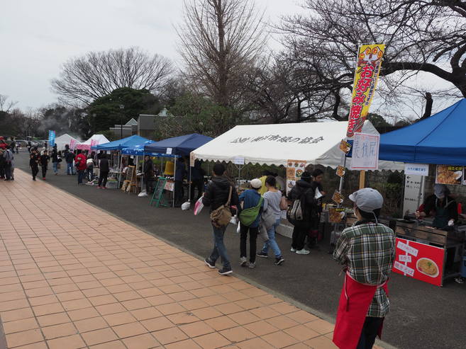 三ツ沢公園だより Vol.12の写真