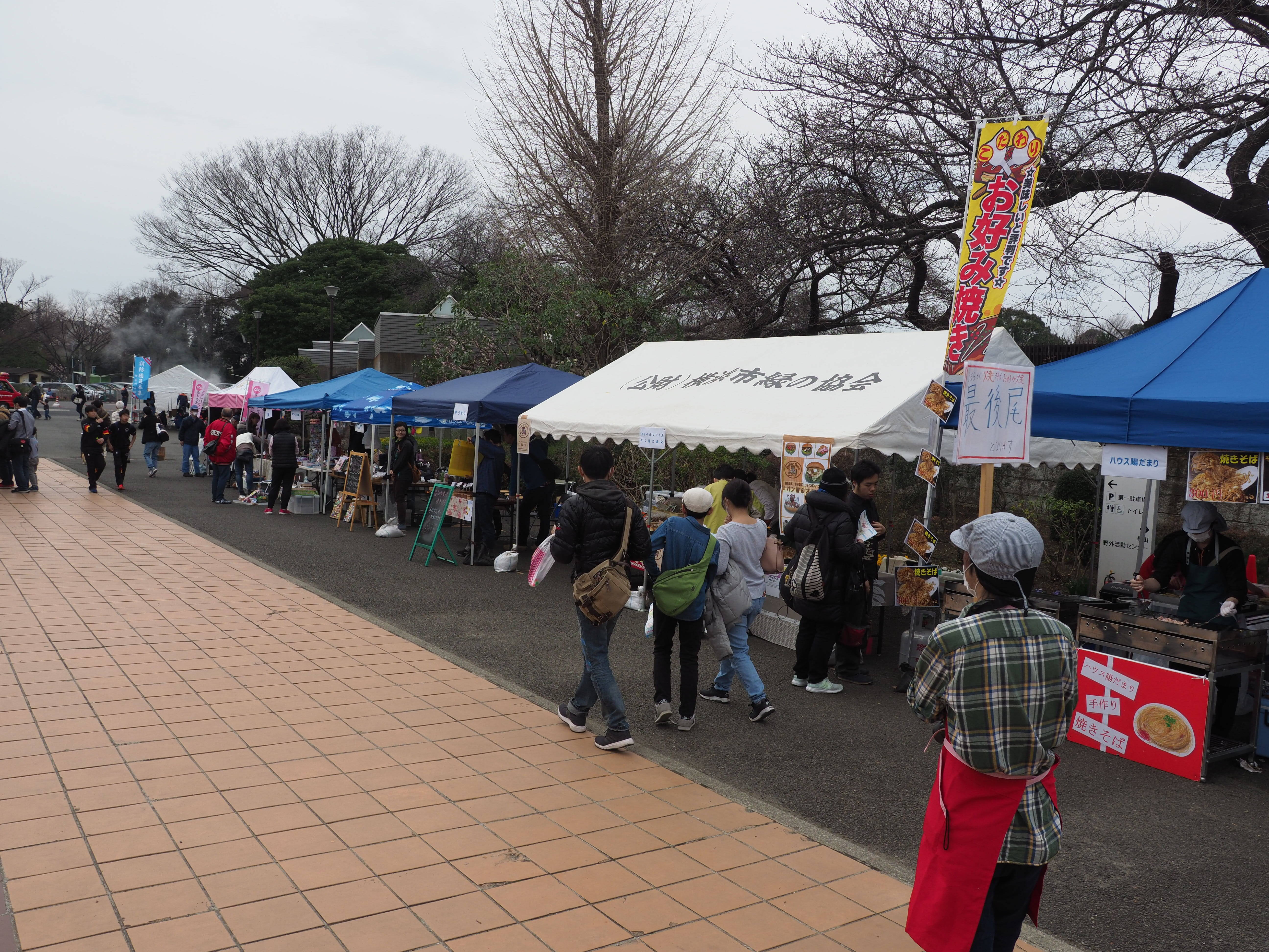 三ツ沢公園だより Vol.12の写真