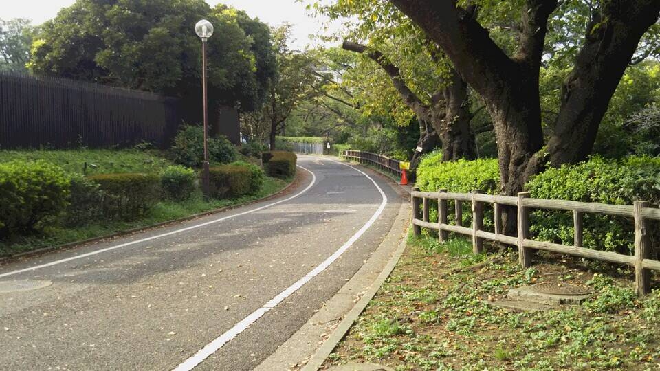 陸上競技場付近の園路にクレーン車が入りますの写真