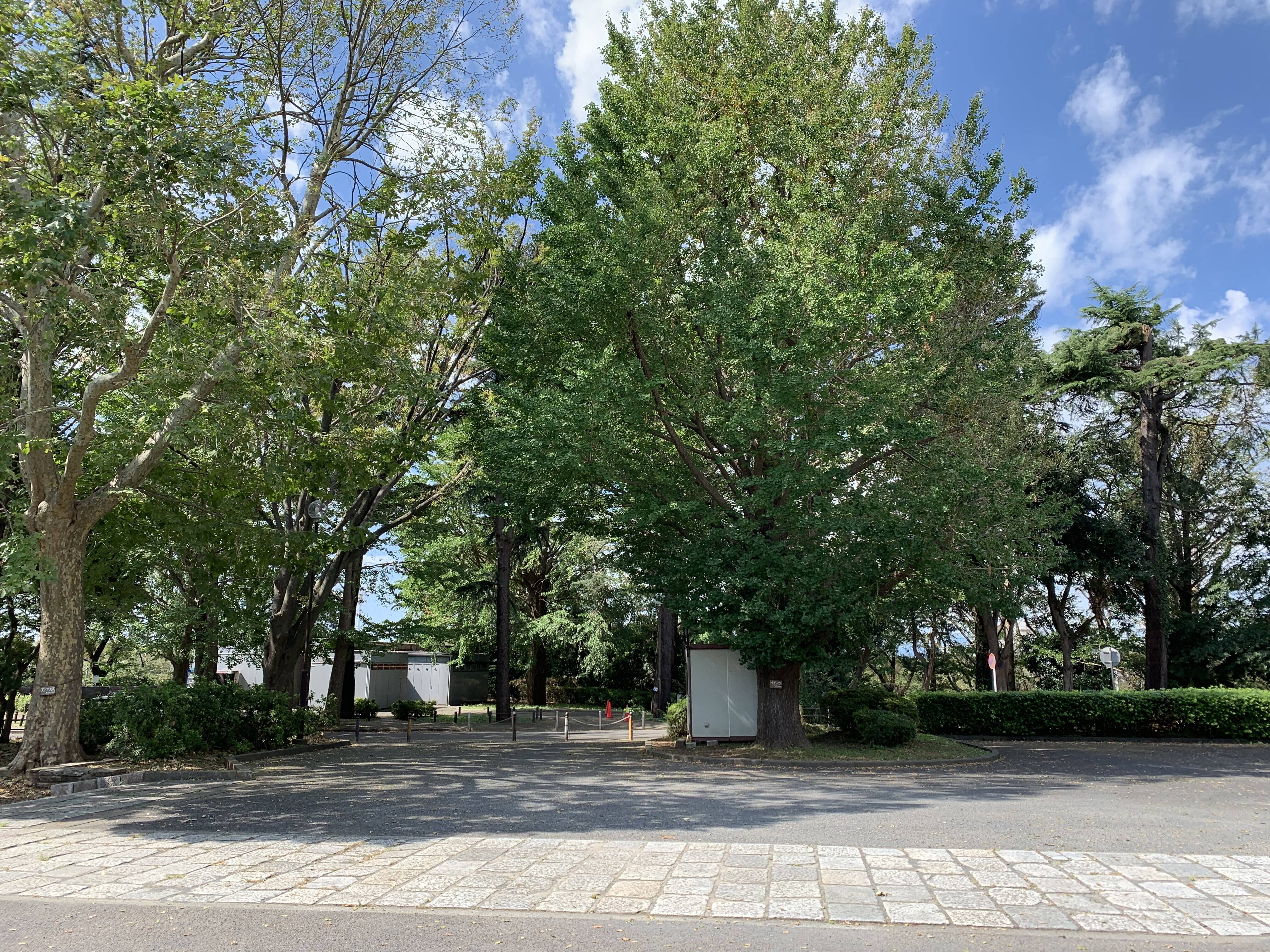 三ツ沢公園だより Vol.14の写真
