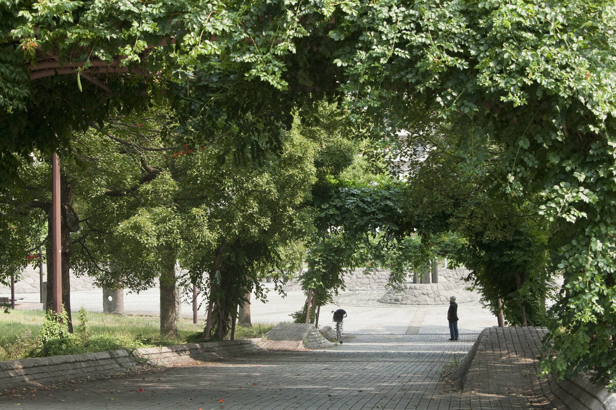 長浜公園トップ画像2