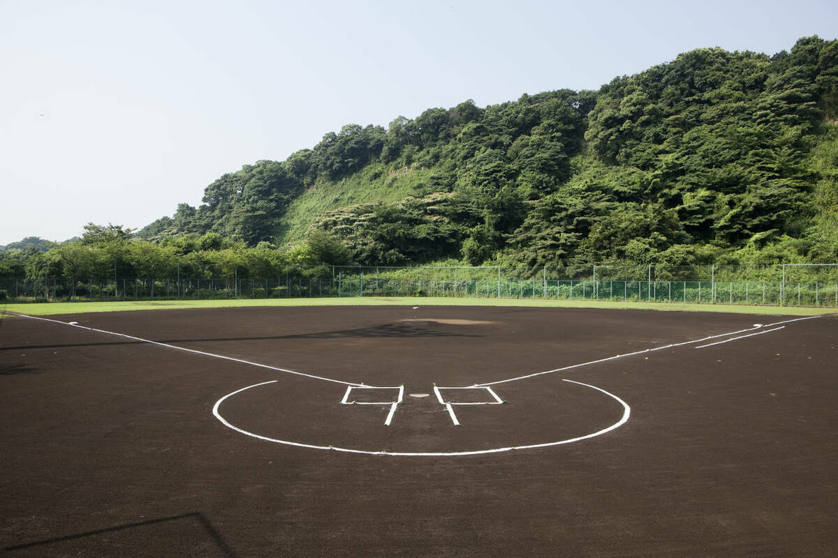 野球場の冬期開場サービスについての写真
