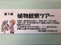 第７回植物観察ツアーのお知らせの画像