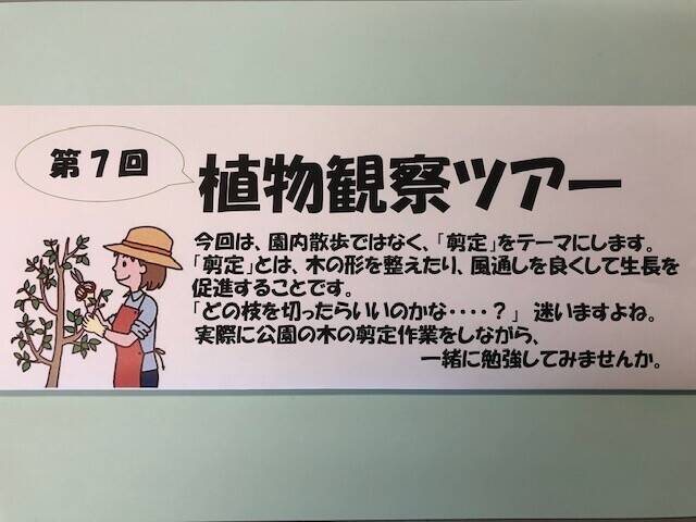 第7回植物観察ツアーのお知らせの写真