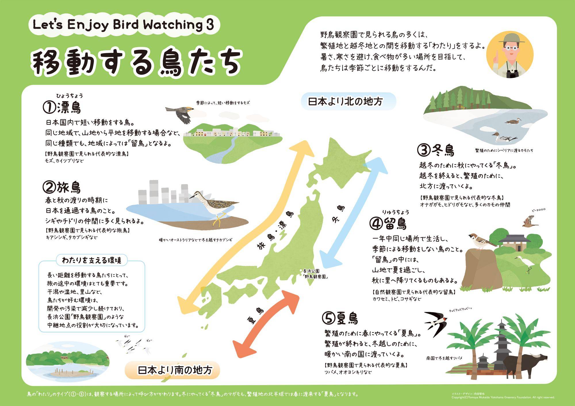 移動する鳥たち.jpg