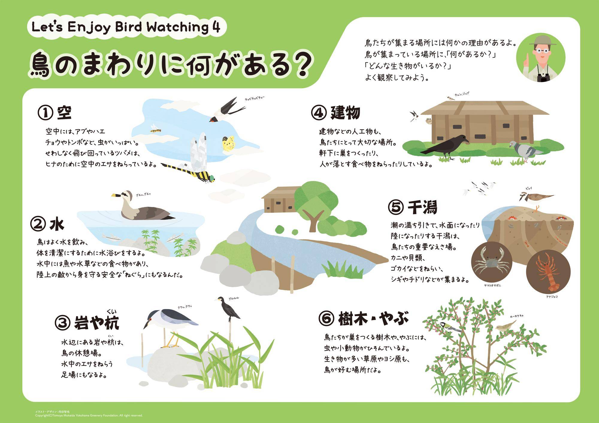 鳥のまわりに何がある.jpg