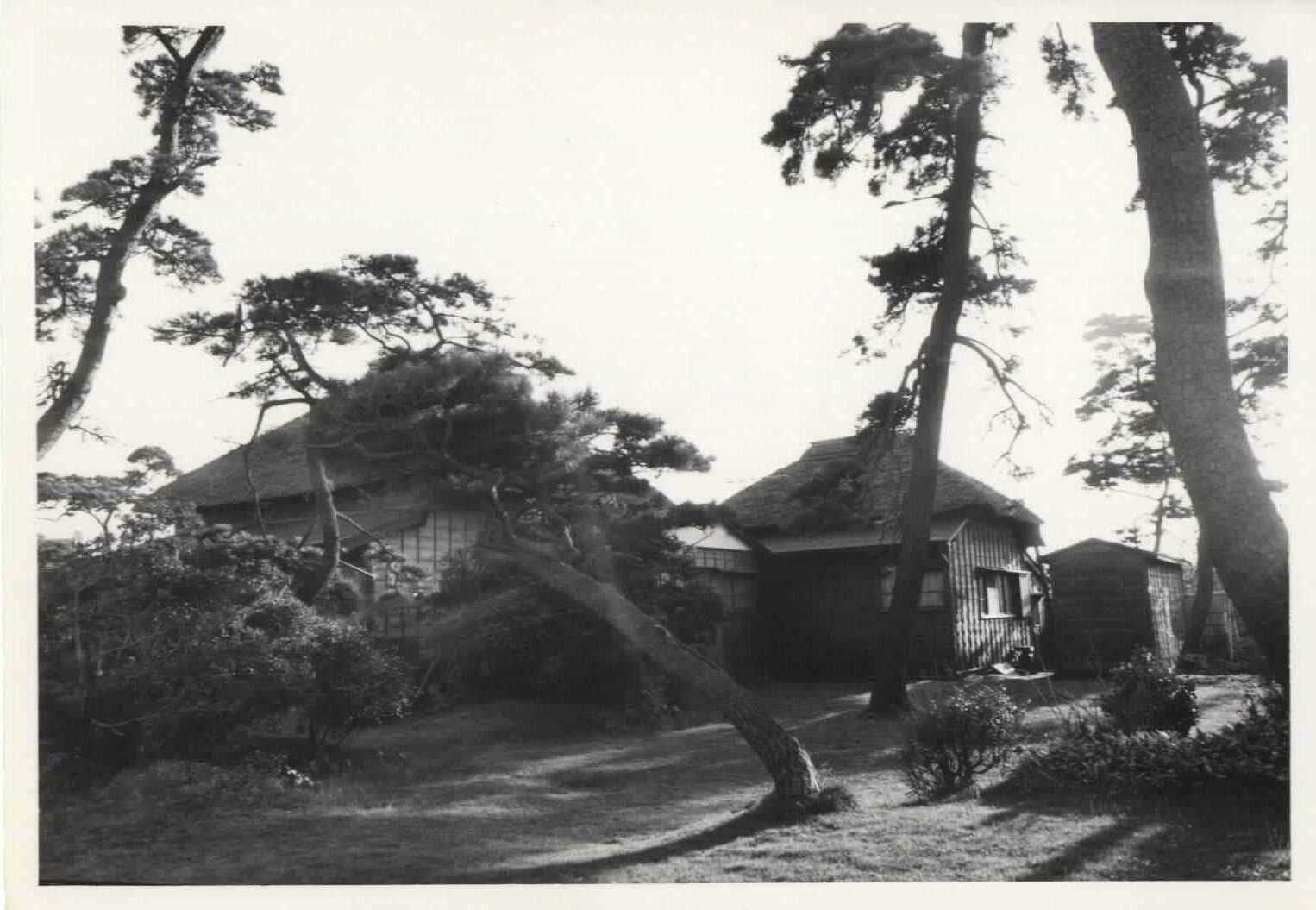 復元十周年記念 パネル展示を開催いたしますの写真