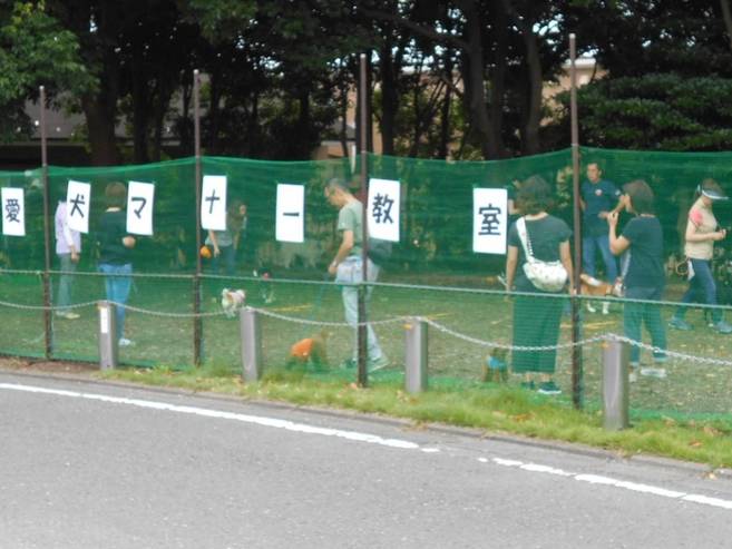 「プロに学ぶ愛犬のしつけ方教室」秋期コースのご案内の写真