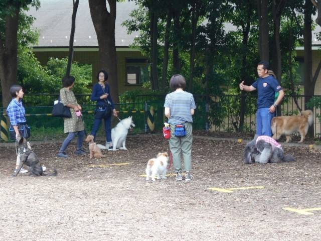 DSCN4242 (640x480).jpg