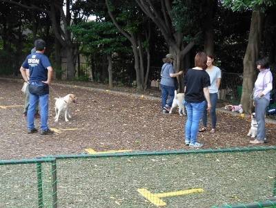 DSCN4713 (640x481) (400x301).jpg