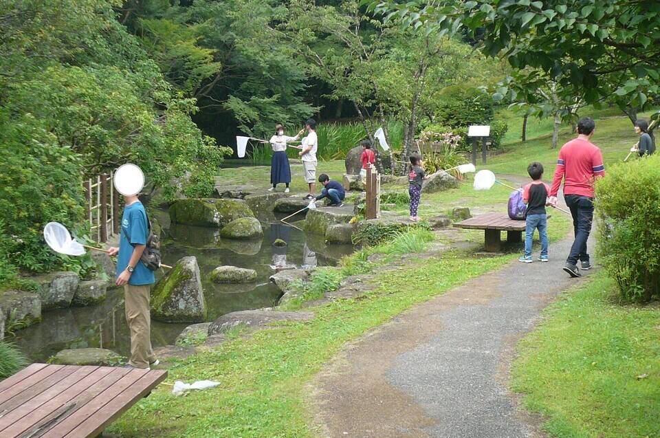 トンボとり大作戦の写真