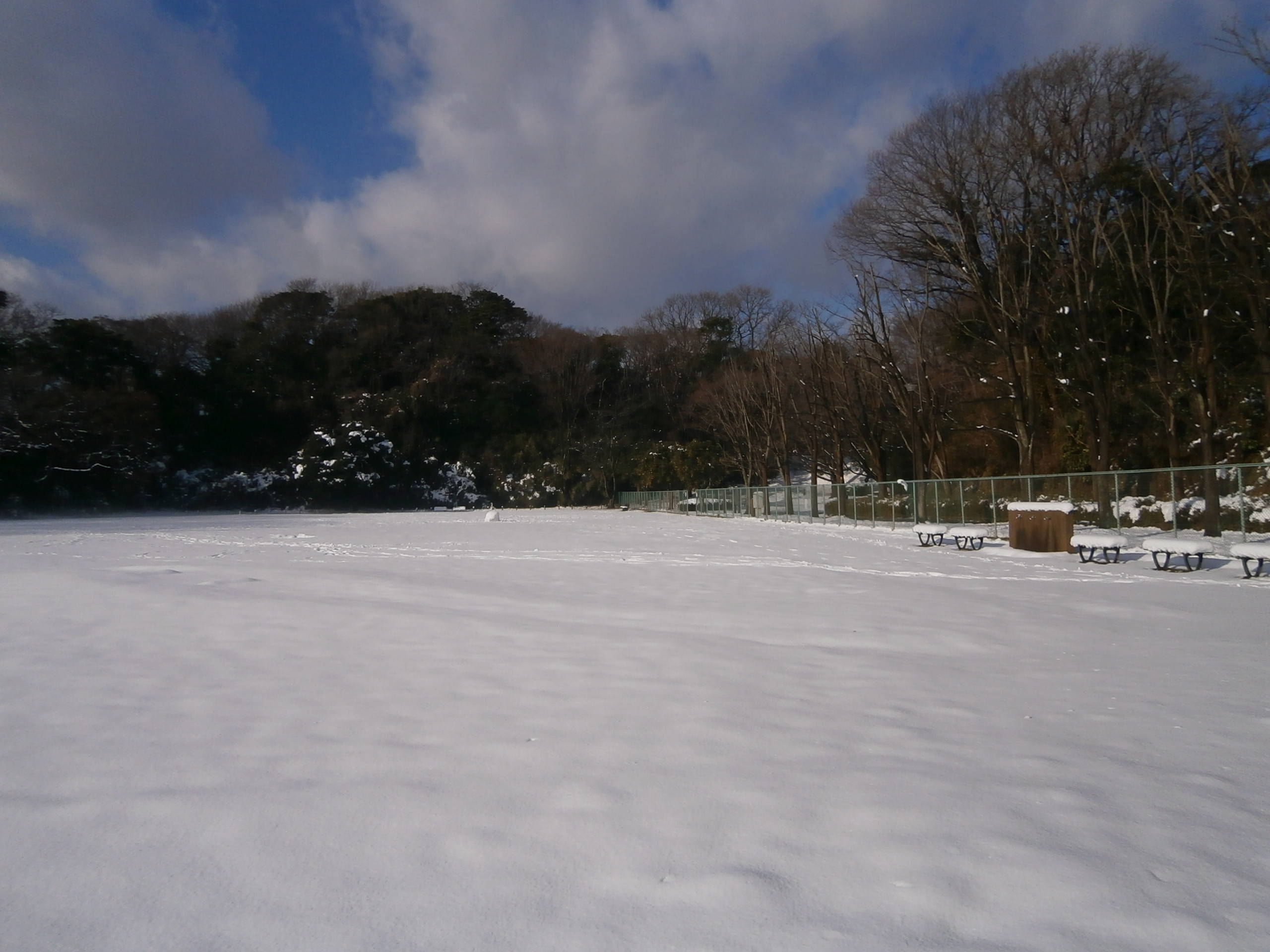 P1230410.jpg
