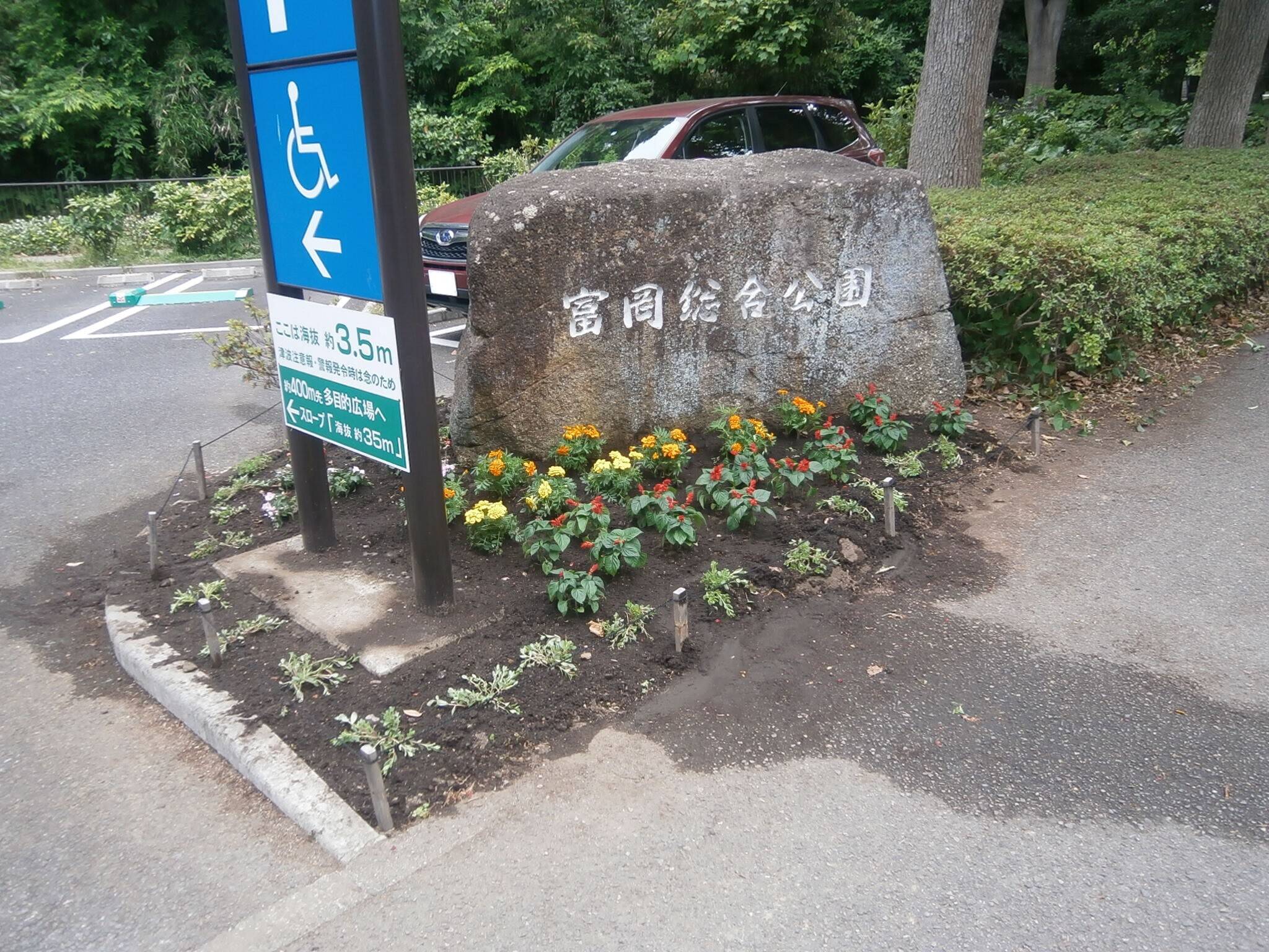 P6100331.jpg