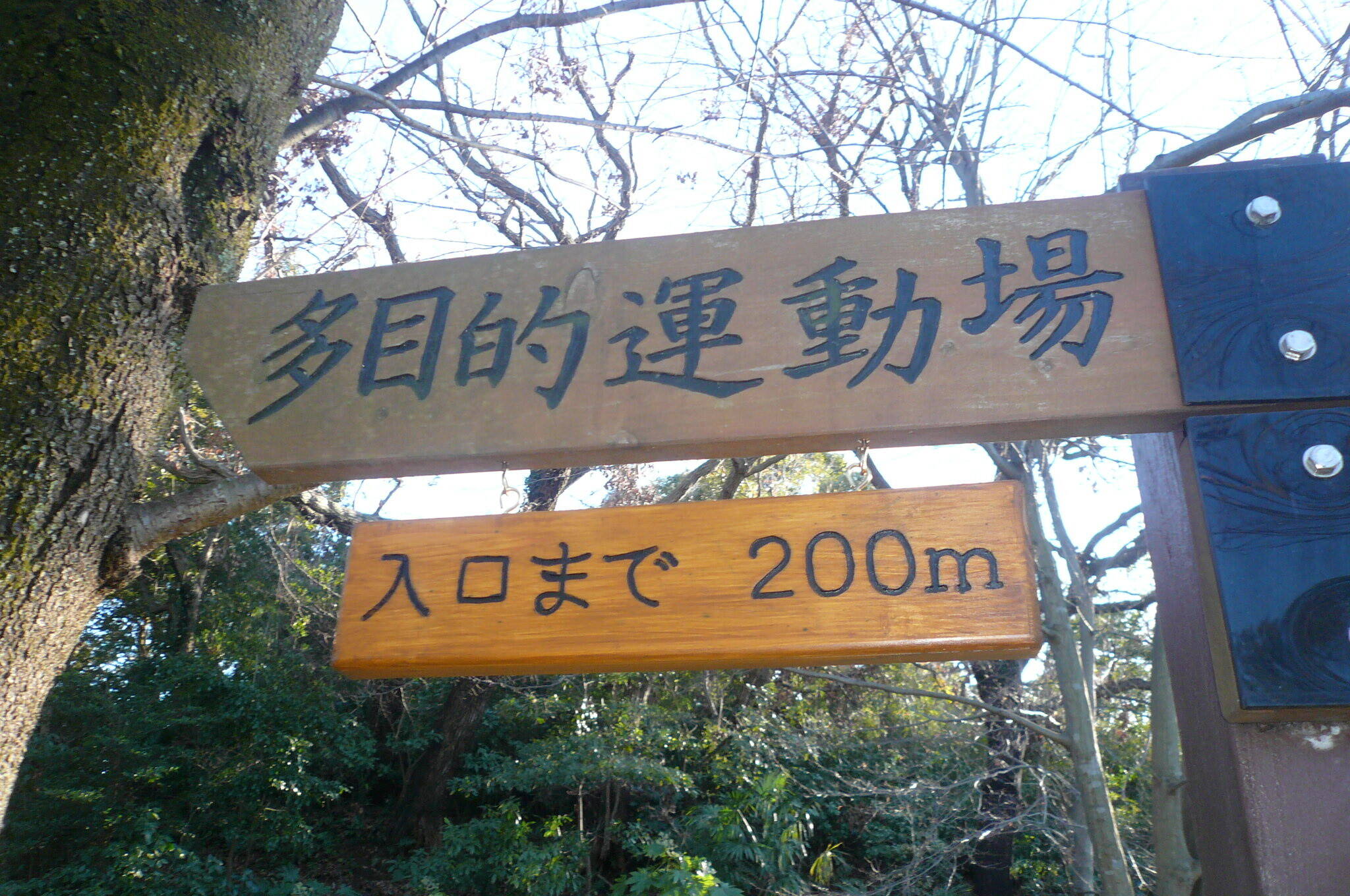 P1130722.jpg