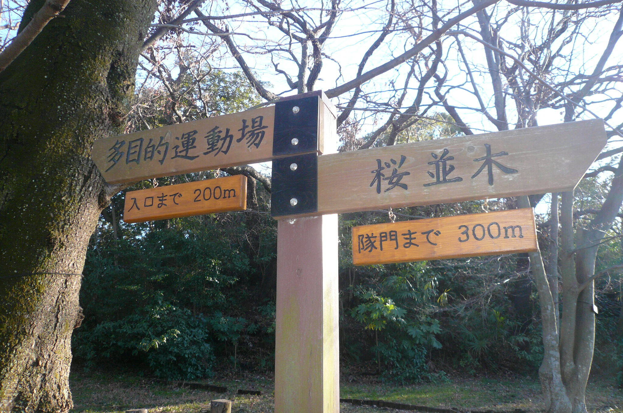 P1130723.jpg