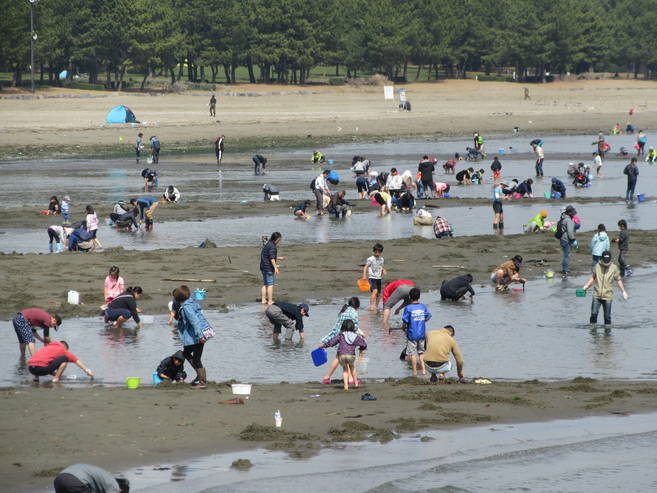 2018海の公園 「潮干狩り」 報告 【3月18日号】の写真