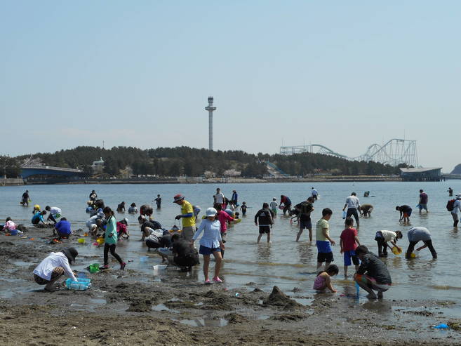 2019海の公園 「潮干狩り」 報告 【4月6日号】の写真
