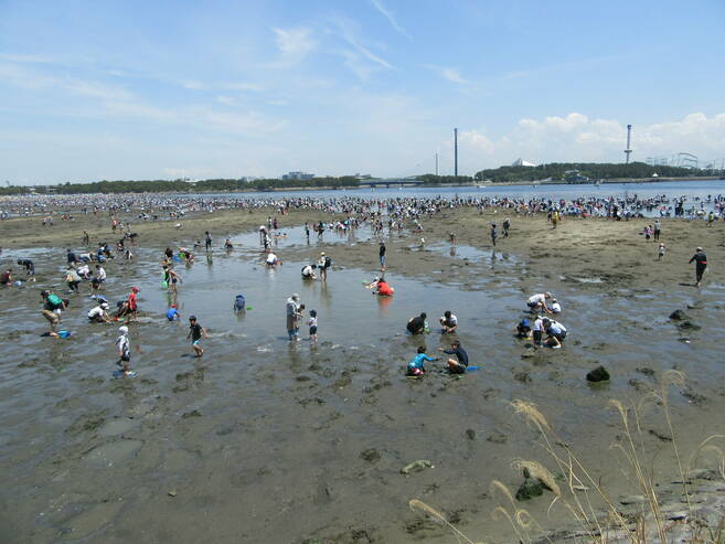 2019海の公園 「潮干狩り」 報告 【5月5日号】の写真