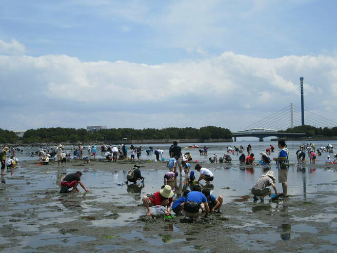 2019海の公園 「潮干狩り」 報告 【5月18日号】の写真
