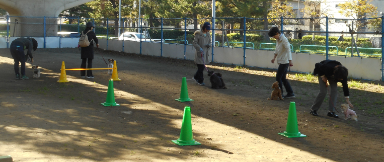 海の公園「愛犬マナー教室」開催【10月31日(土)】参加者募集! の写真